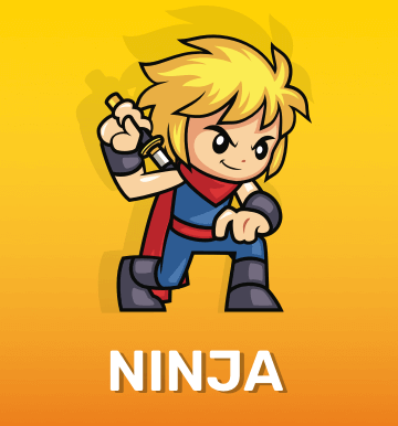 Игра Ninja